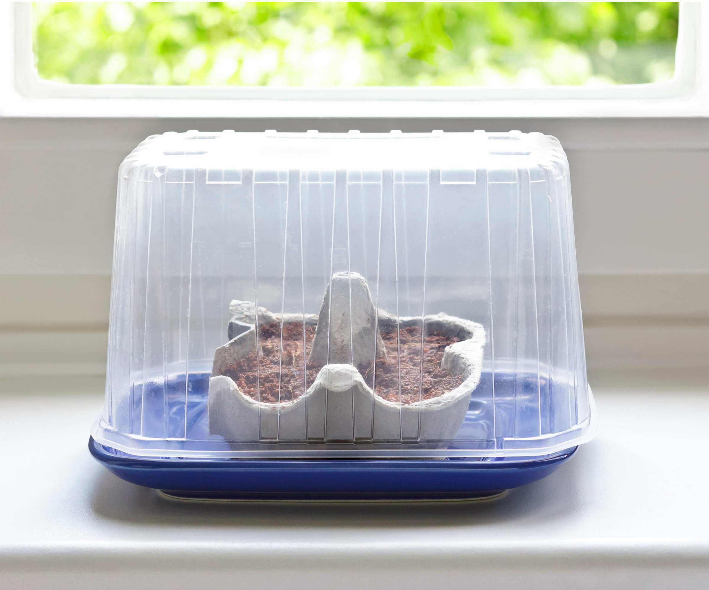 Container greenhouse