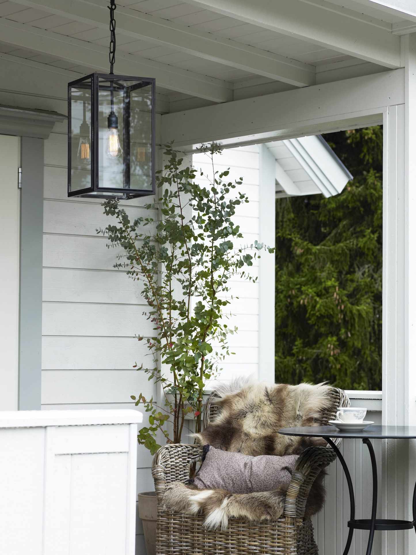 White porch with climbing plant
