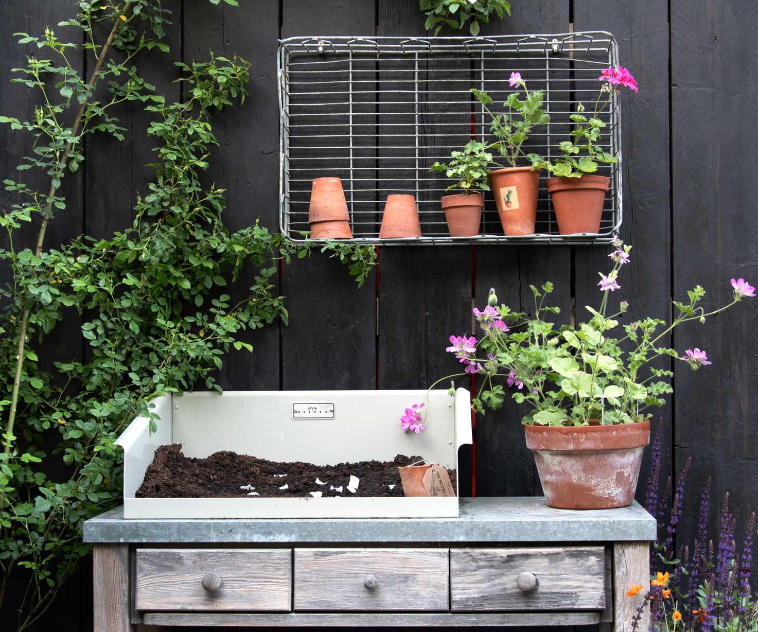 vintage potting table with soil and plants in terracotta pots