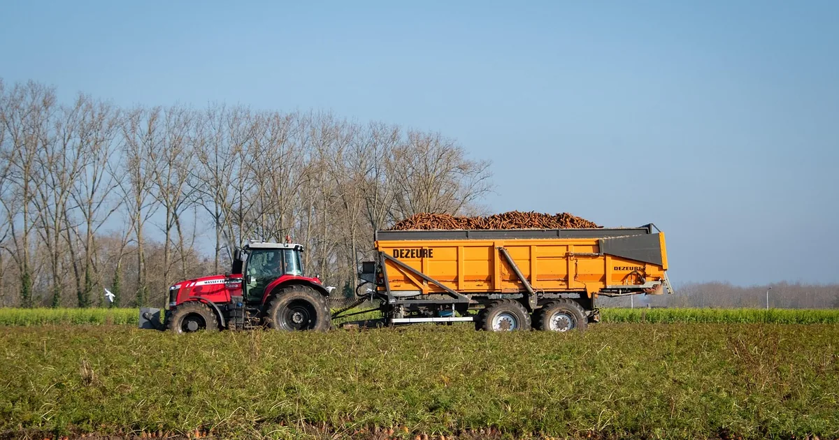 10 Ways to Save More at Deere in 2026