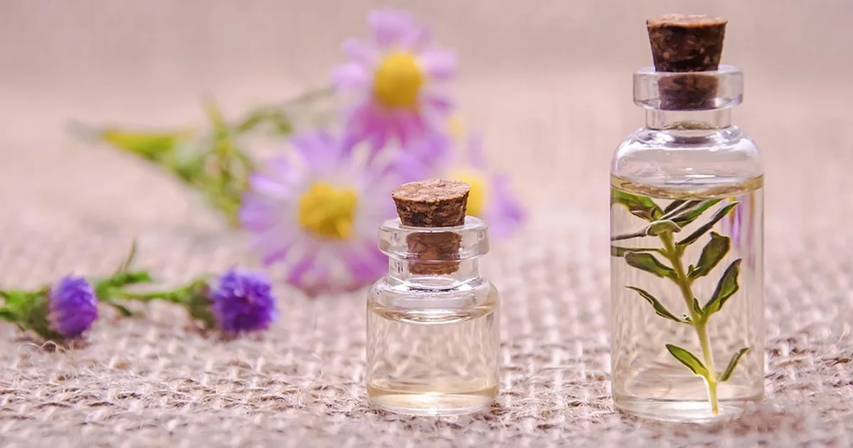 15 Insider Tips to Shop Doterra Like a Pro in 2026