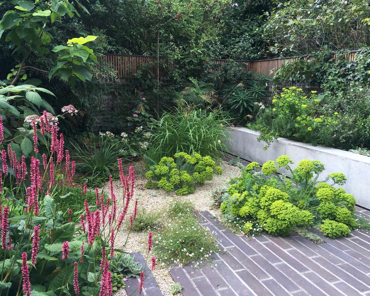 A dry garden with green and pink plants next to a brick path