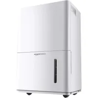 Amazon Basics Dehumidifier | $218.49 at Amazon Amazon Basics Dehumidifier | $218.49 at Amazon