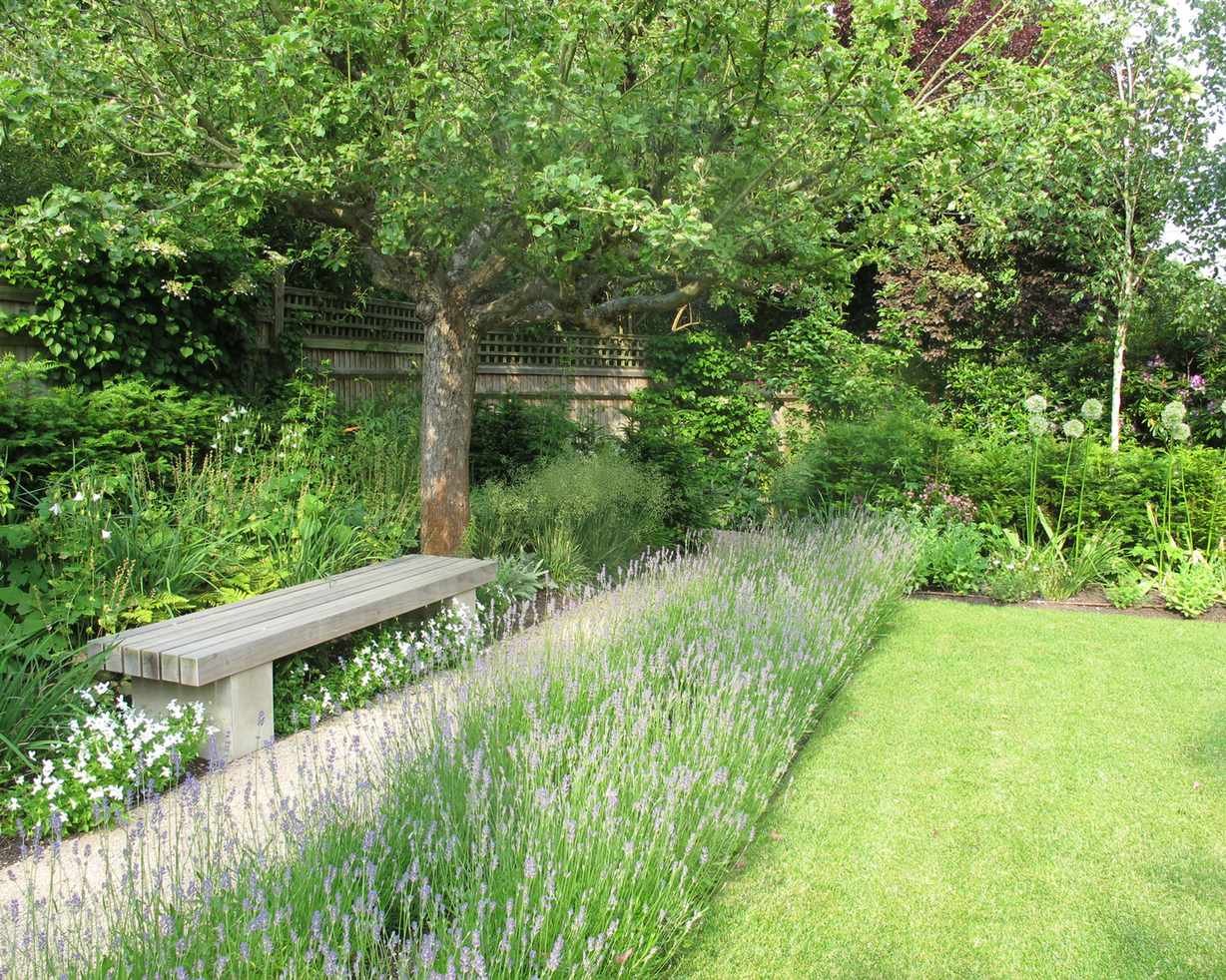 Neatly clipped lawn next to lavender beds and garden path
