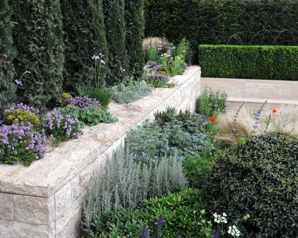 A stone wall in a dry garden with green foliage