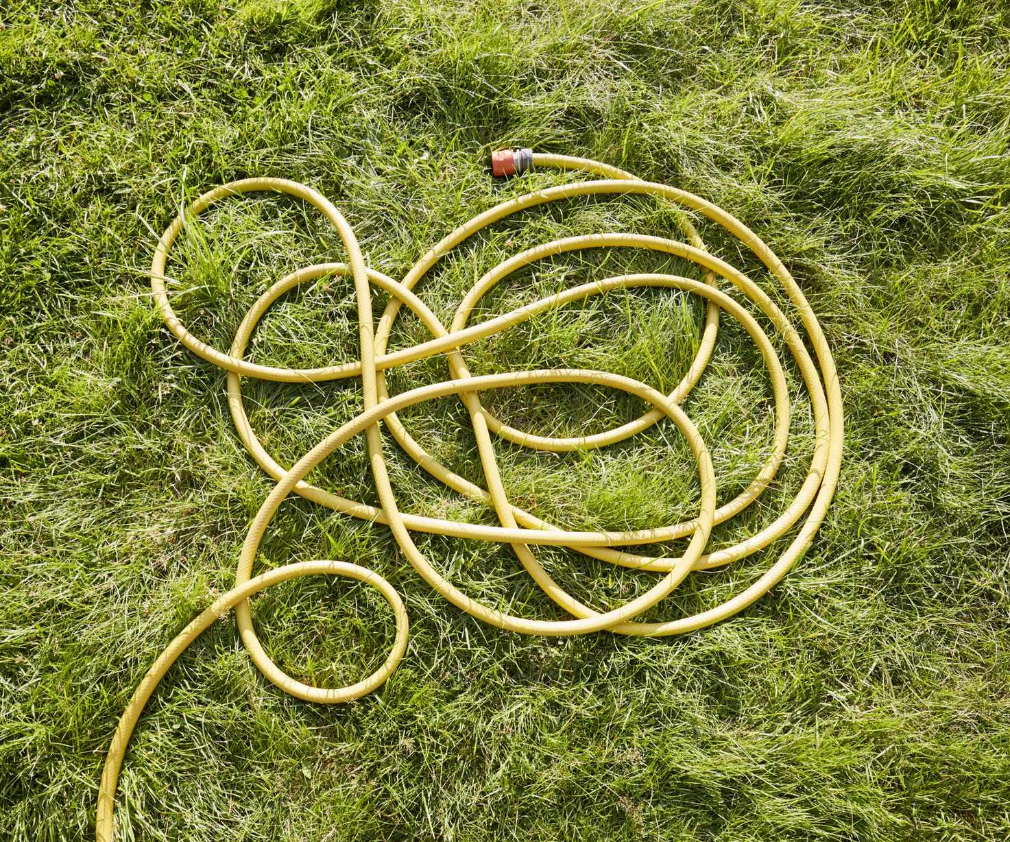 Garden hose
