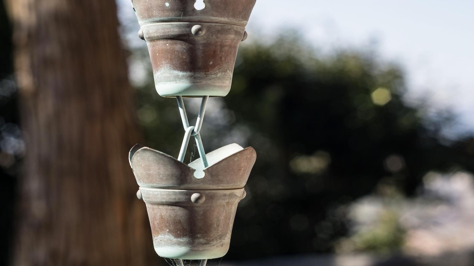 I installed a rain chain to collect rainwater, and will never water my plants with tap water again