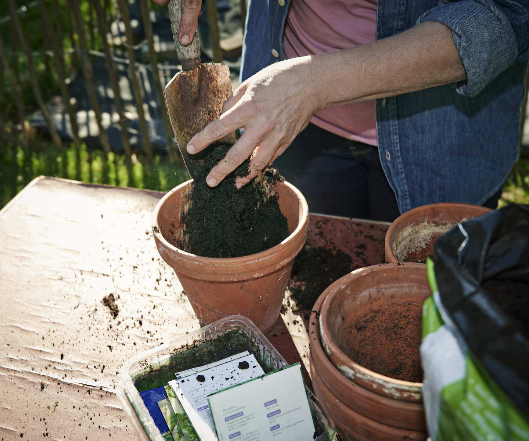 New soil in container
