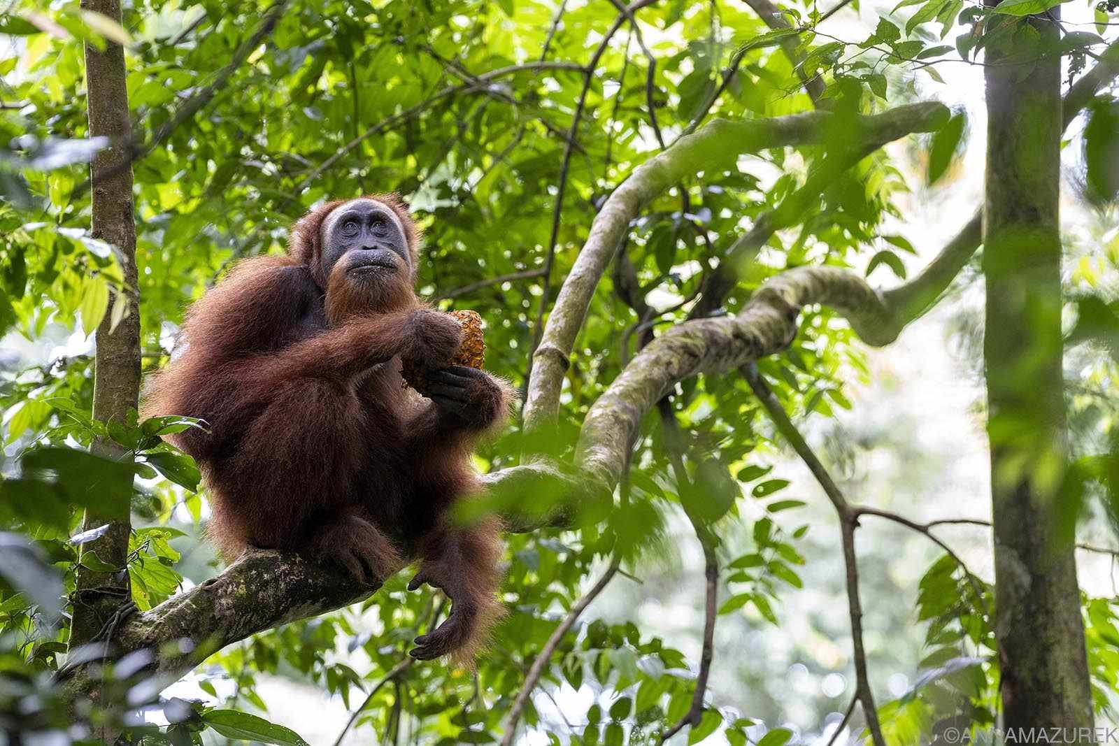 The 16 Best Photos from my 2024 Travels - Travel Like Anna