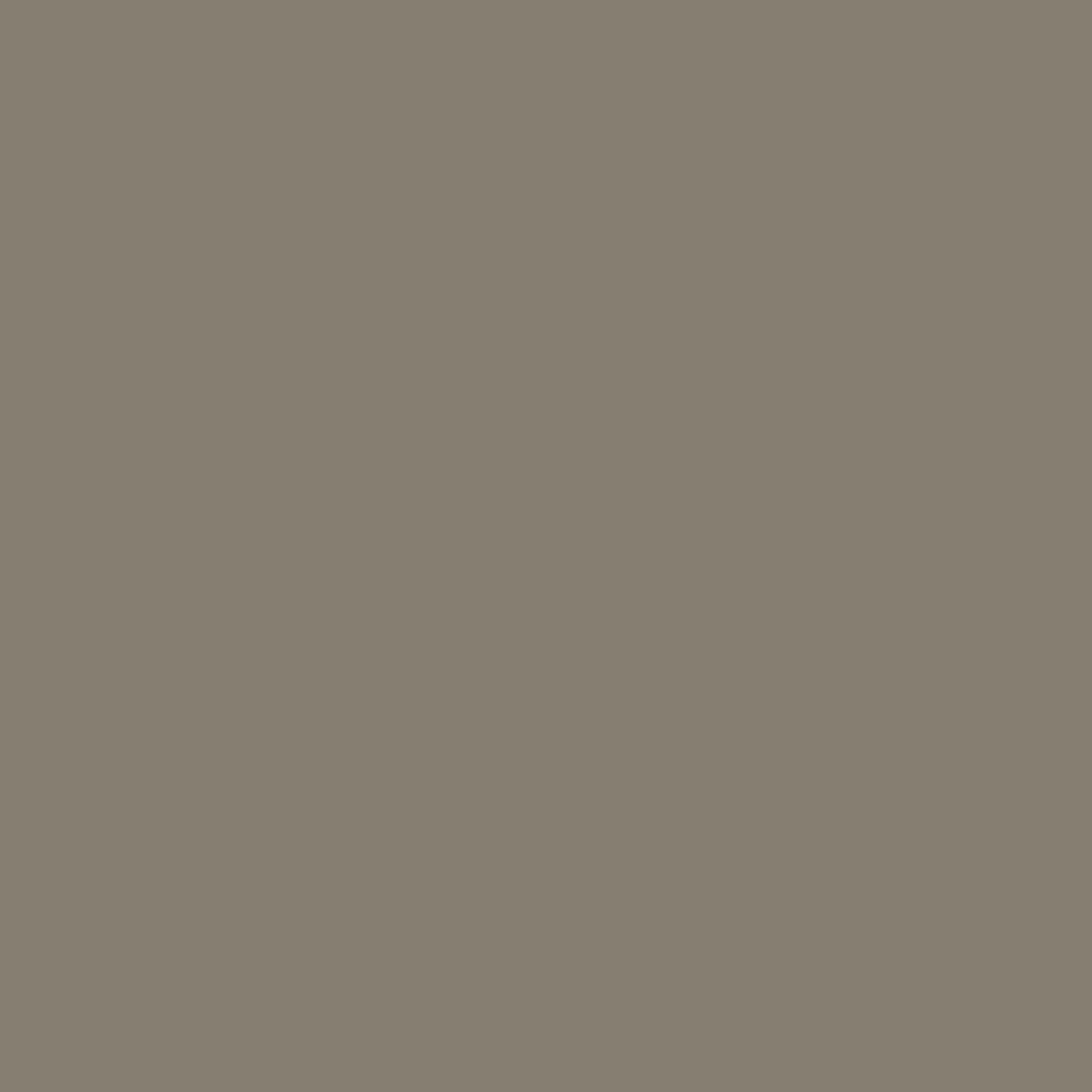 Benjamin Moore Sparrow