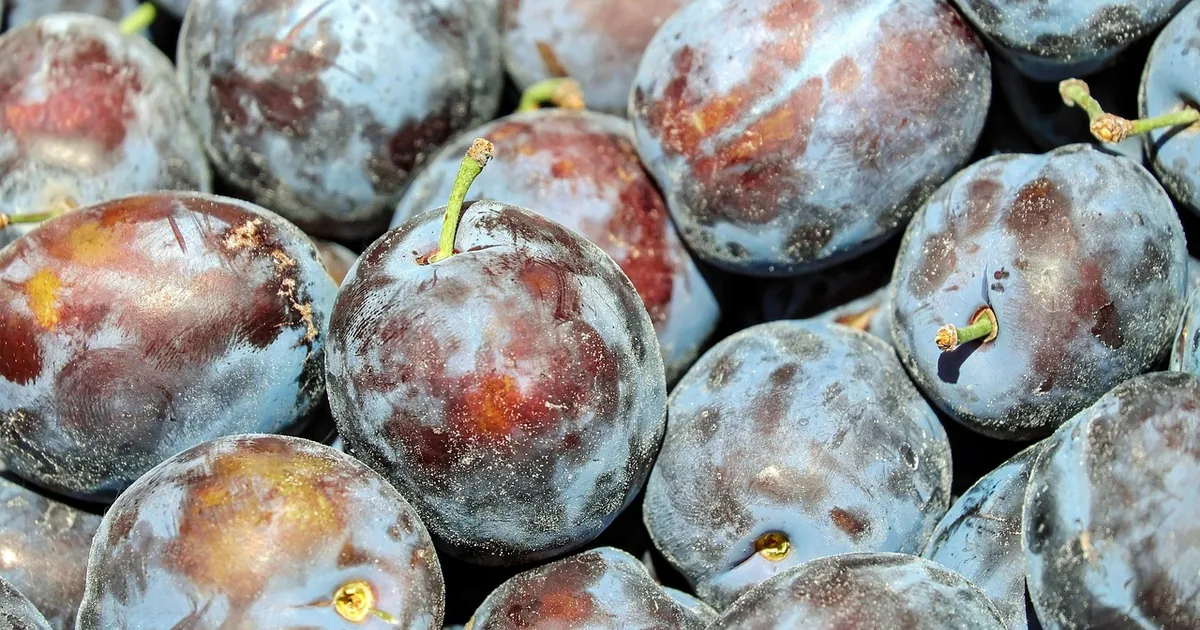 The Smartest Way to Shop Food City: 11 Insider Tips + 2026 Codes