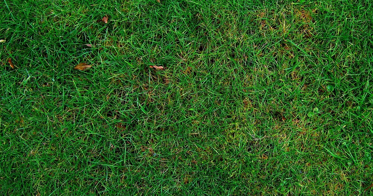 10 Smart Ways to Save at Greenworks Tools in 2026