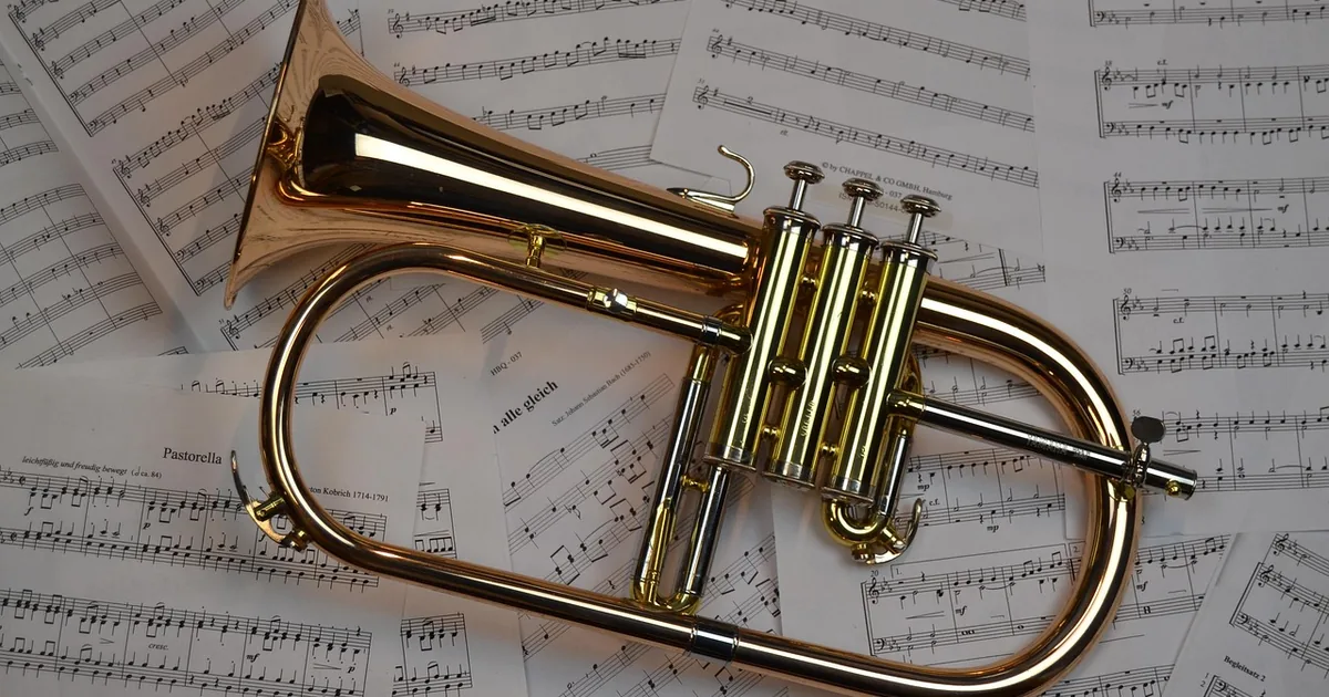 Smart Ways to Save on Hal Leonard Music Gear in 2026