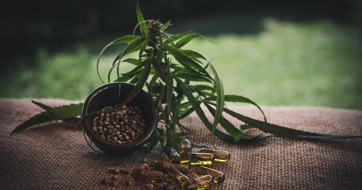 10 Just CBD Store Shopping Hacks Frugal Shoppers Swear By