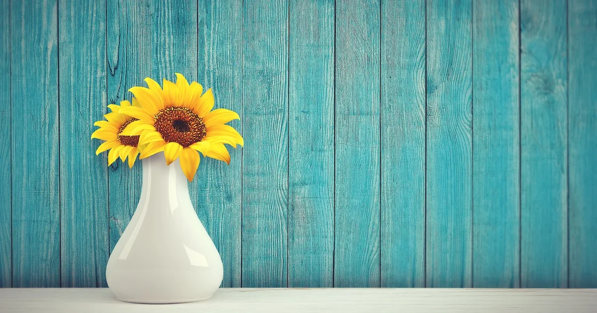 How to Get the Best Deal at Laura Ashley USA: A Complete Home & Garden Guide