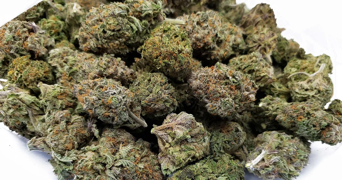 Where Smart Shoppers Find Leafly Deals in 2026