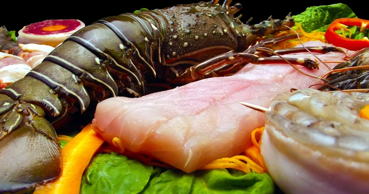 Where Smart Shoppers Find the Best Legal Sea Foods Deals in 2026