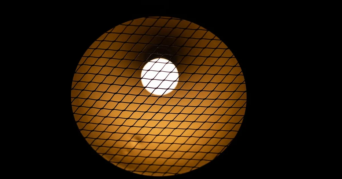 Lightology Shopping 101: What to Know for 2026