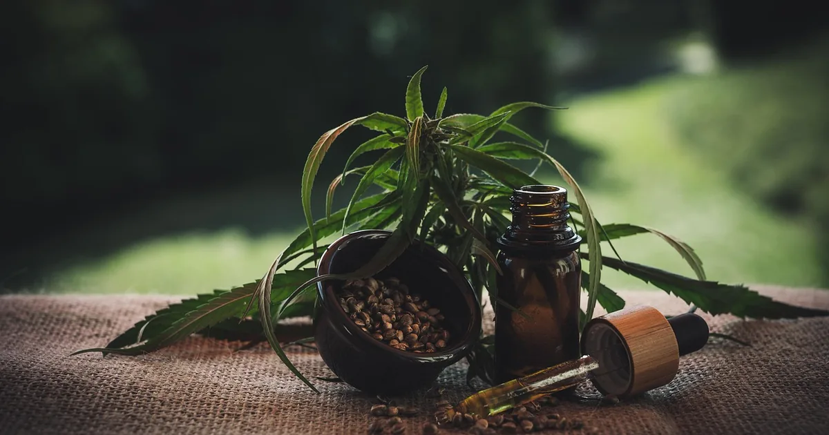 Is Medterra CBD Worth It? An Honest Shopper's Review + 2026 Codes