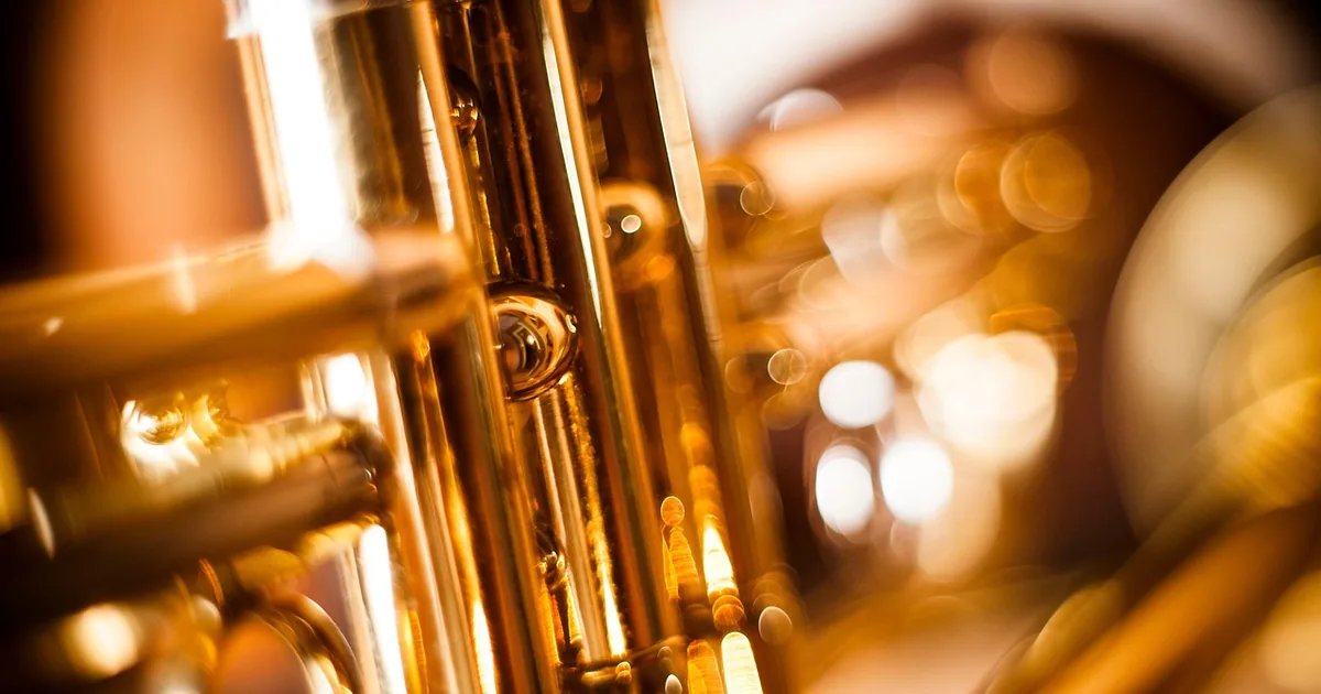 What to Know Before Shopping Musician's Friend (2026)