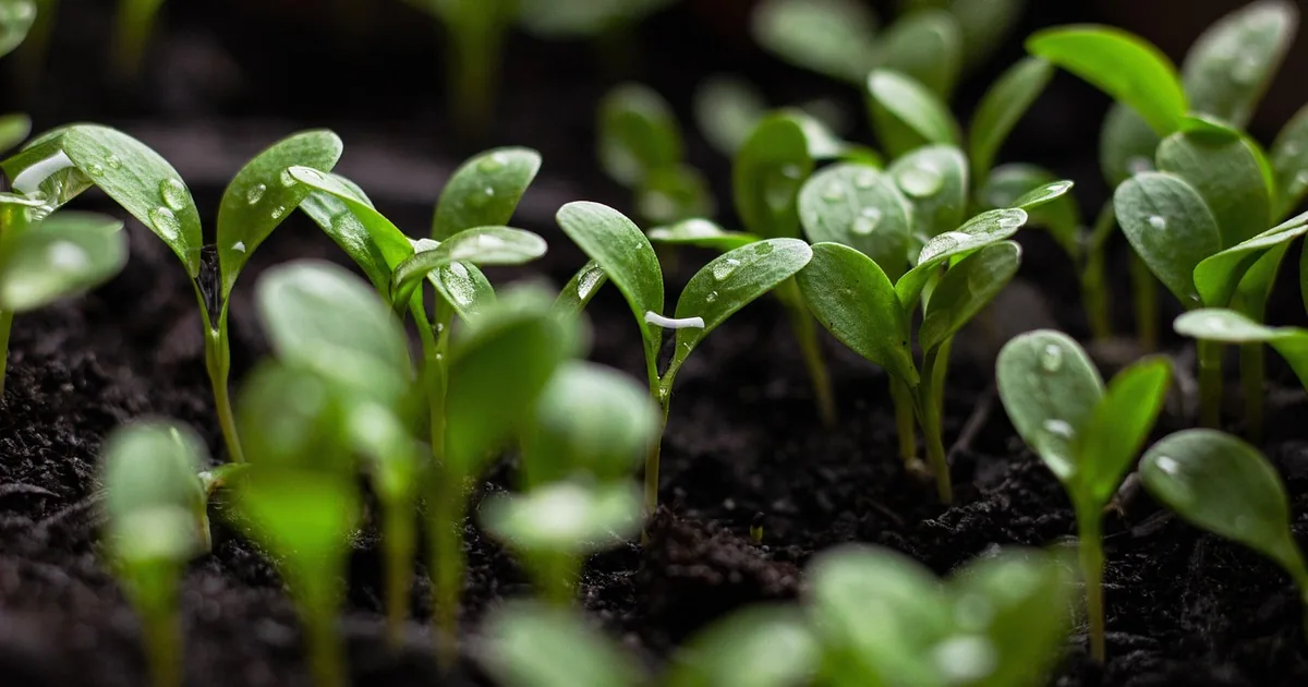 8 Smart Ways to Save at One in 2026