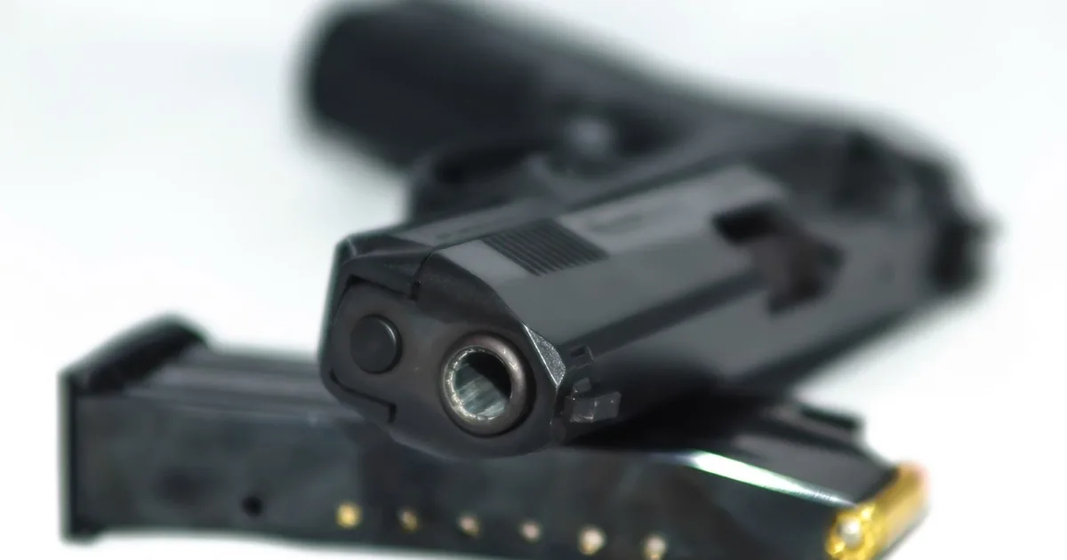 Palmetto State Armory Discount Codes 2026: 10 Proven Tricks to Pay Less