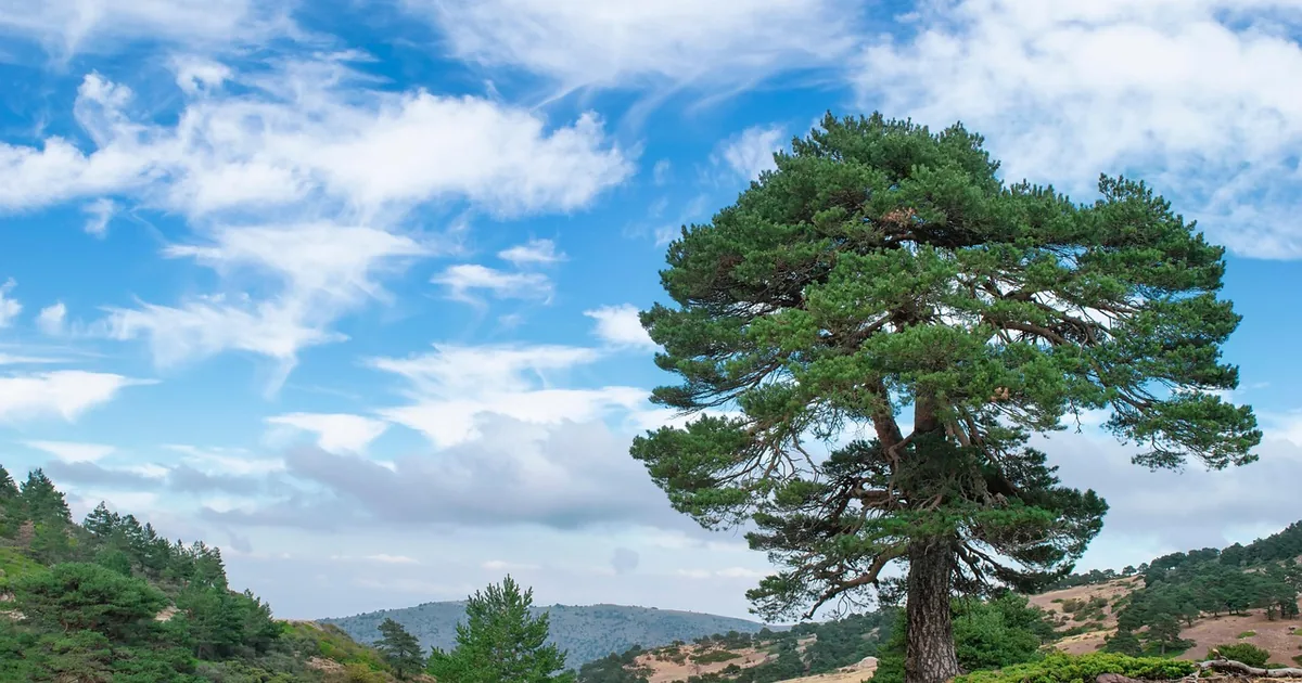 9 Patagonia Shopping Hacks Frugal Shoppers Swear By