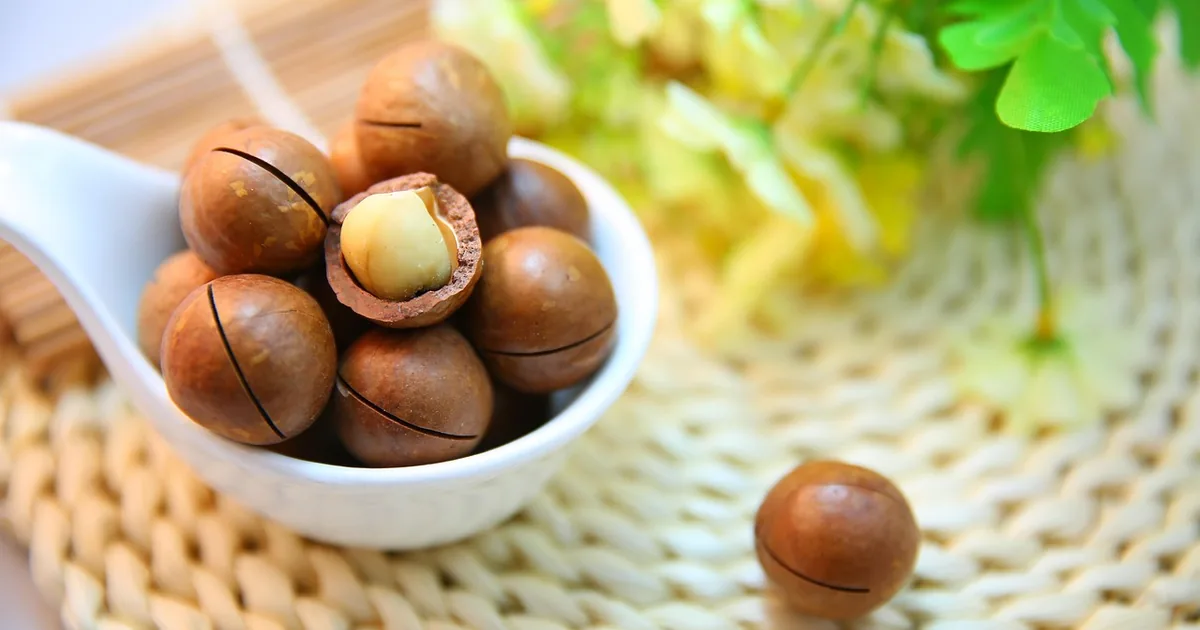 Shop Smart with Perfect Snacks: Insider Tips + 2026 Codes
