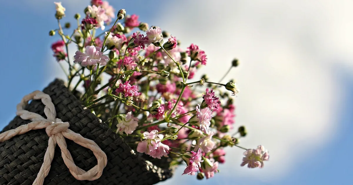 12 ProFlowers Shopping Hacks Every Savvy Buyer Needs