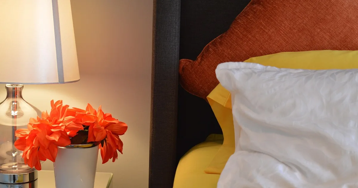 How to Get the Best Deal at Qomfort Co: A Complete Home & Garden Guide