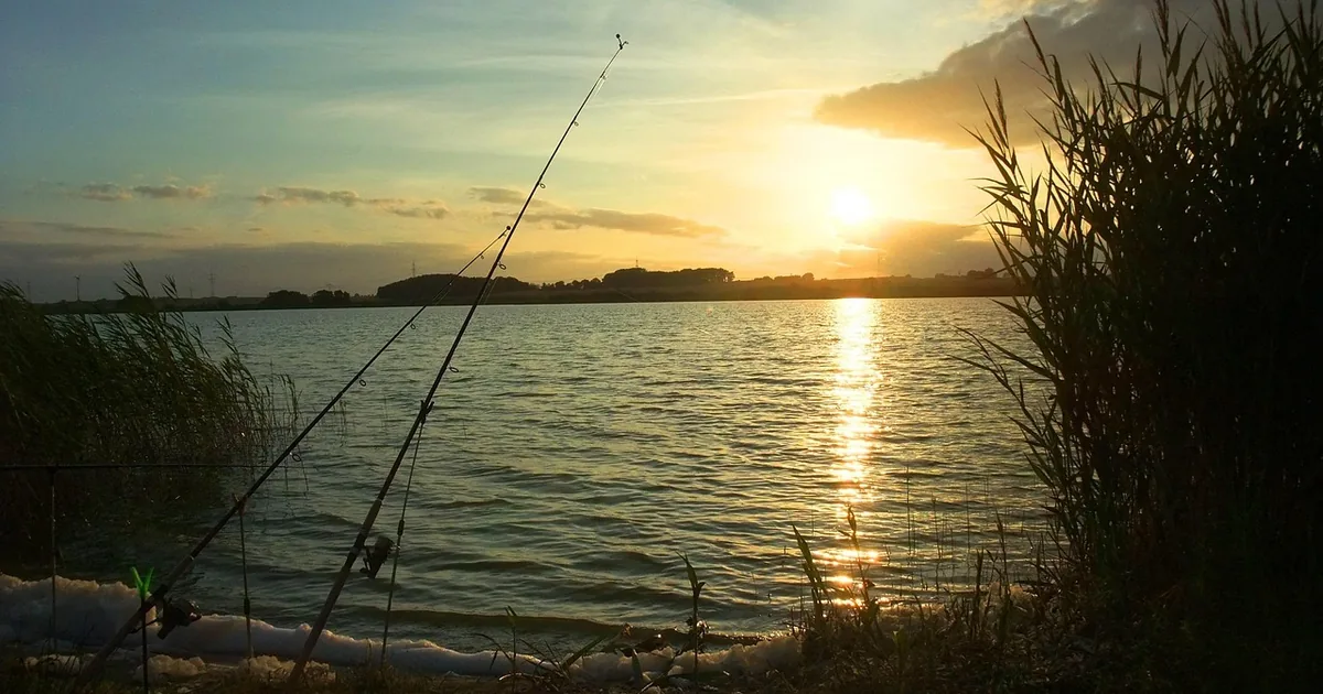 How to Get the Best Deal at Rapala: A Complete Guide