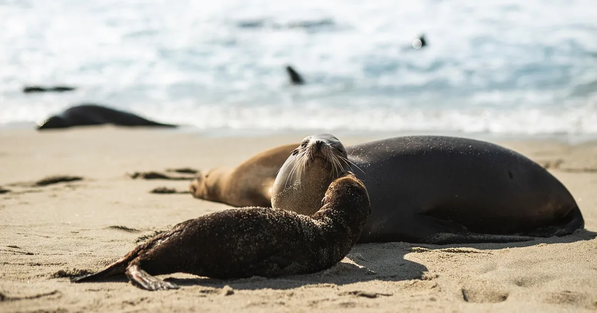 12 Ways to Save on Your Visit to Shedd Aquarium in 2026