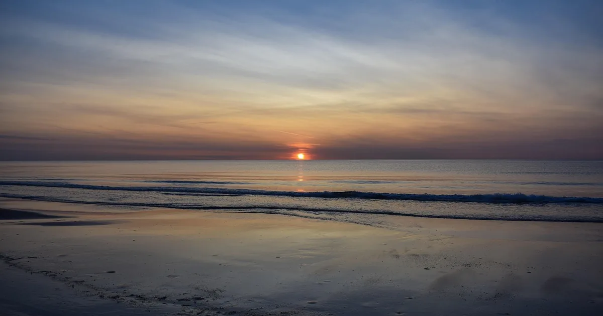 10 Ways to Save More at Skagen in 2026